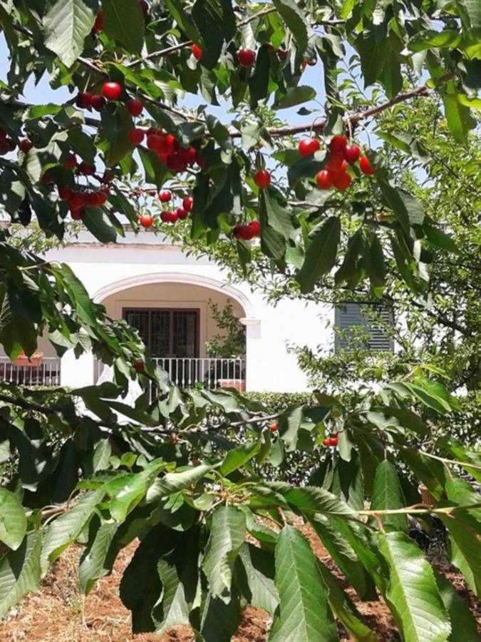 Bed and Breakfast La Volpina Мартина-Франка Экстерьер фото